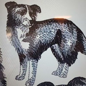 Meet your Posher, Brennan